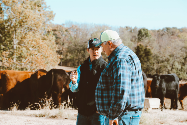 Steve and Drew talking on the farm