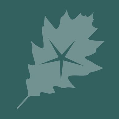 OakStar Leaf